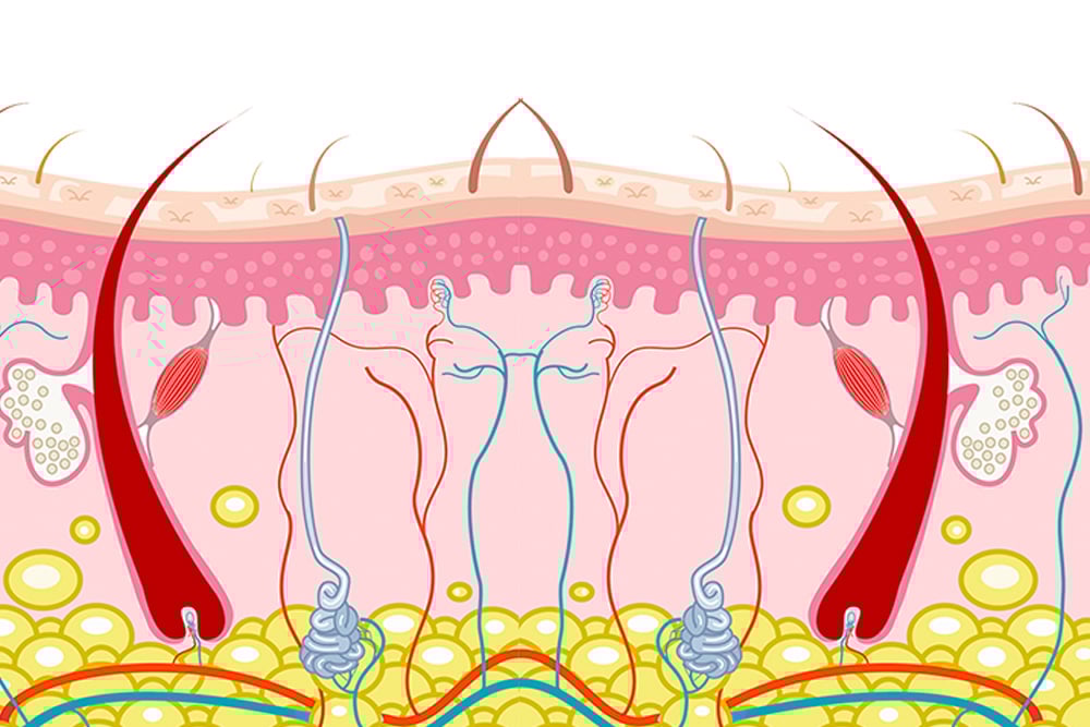 JF827 635nm красный лазер4