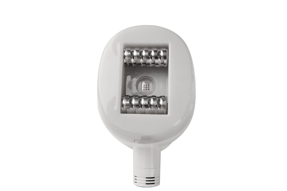 JF821 v8 벨라쉐이프8